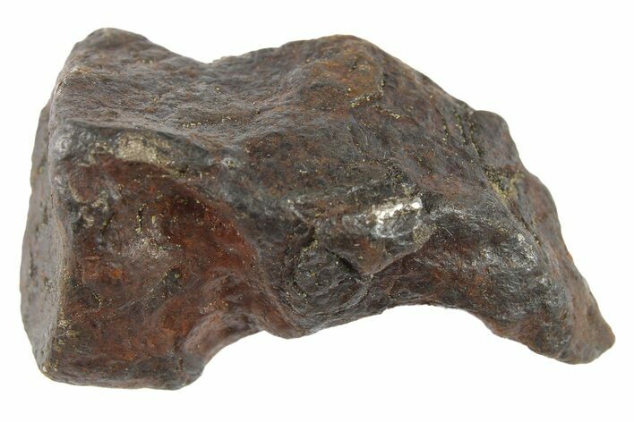 Canyon Diablo Iron Meteorite ( g) - Arizona #262849